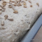 Close of of seeds on dough